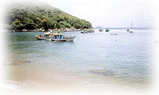 Foto: Praia da Almada - Serra do Mar Turismo